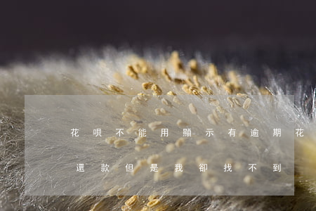 花唄不能用顯示有逾期(花唄顯示我有逾期未還款,但是我卻找不到?)