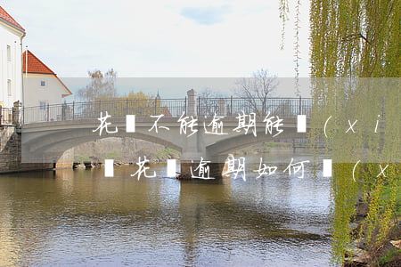 花唄不能逾期能協(xié)商還款嗎(支付寶花唄逾期如何協(xié)商還款)