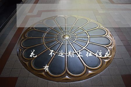 花唄 不逾期 上征信 花唄沒有逾期征信報告上會有記錄嗎