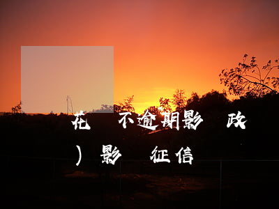 花唄不逾期影響政審嗎(花唄不還會(huì)影響征信嗎)