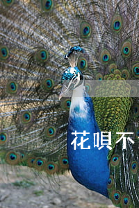 花唄不逾期怎么凍結(jié)了