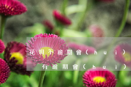 花唄不逾期會(huì)有征信嗎(借唄花唄沒有逾期會(huì)對(duì)征信有影響嗎)