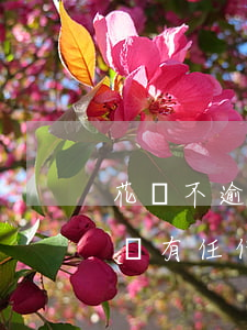 花唄不逾期為什么會被凍結(jié)(花唄沒有任何逾期為什么會無法使用)