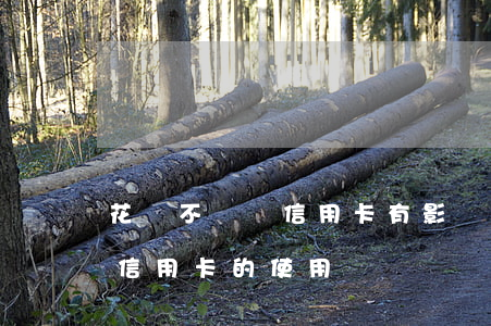 花唄不還辦信用卡有影響嗎(花唄不還會影響信用卡的使用嗎)