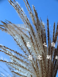 花唄之前逾期的記錄還能上征信嗎-花唄之前逾期的記錄還能上征信嗎