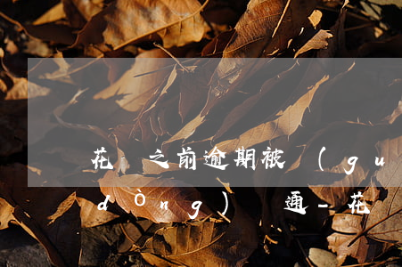 花唄之前逾期被關(guān)后面自動(dòng)開通-花唄之前逾期被關(guān)后面自動(dòng)開通了嗎