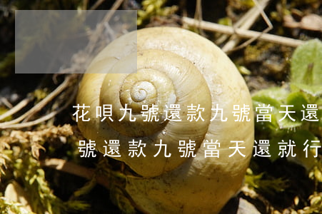 花唄九號還款九號當天還就行了吧-花唄九號還款九號當天還就行了吧怎么回事