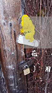 花唄二十號(hào)還款十四號(hào)用的要還嗎-花唄二十號(hào)還款十四號(hào)用的要還嗎怎么還