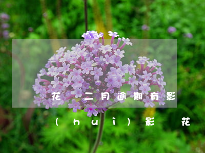 花唄二月逾期有影響嗎(花唄逾期兩天還款會(huì)影響花唄額度嗎?)
