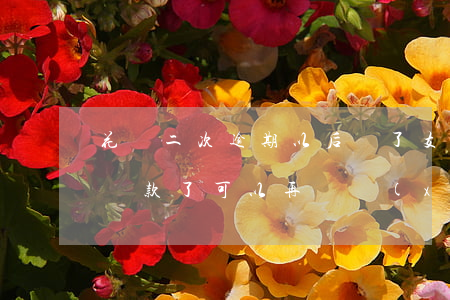 花唄二次逾期以后還了(支付寶花唄逾期兩天還款了可以再繼續(xù)借嗎)