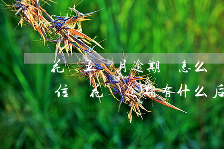 花唄五個月逾期會怎么樣(花唄逾期5天上征信嗎?花唄逾期有什么后果)