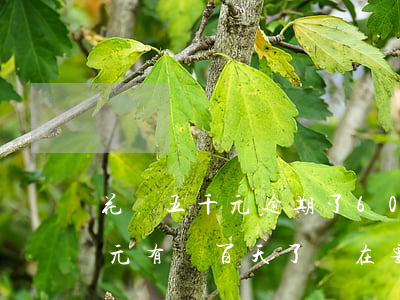 花唄五千元逾期了60天(花唄逾期5000元有兩百天了現在要還多少)