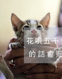 花唄五千多沒還要起訴(欠花唄幾千塊錢起訴的話,會賠償五六萬嗎)