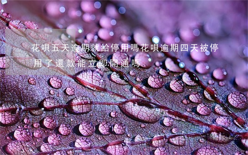 花唄五天逾期就給停用嗎(花唄逾期四天被停用了還款能立即開通嗎)