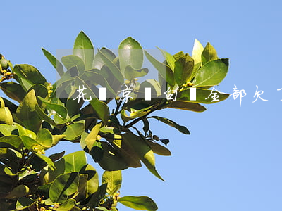 花唄京東白條全部欠了1萬(花唄還京東白條)