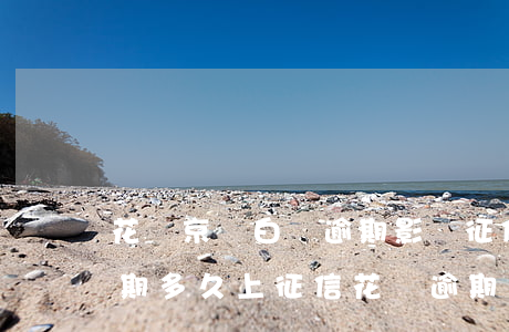 花唄京東白條逾期影響征信嗎-京東白條逾期多久上征信?花唄逾期幾天上征信