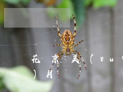 花唄京東美團(tuán)逾期幾個(gè)月