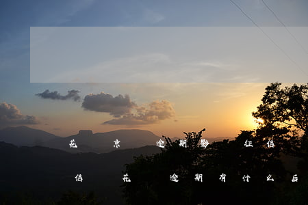花唄京東逾期影響征信嗎(花唄逾期上央行征信嗎?花唄逾期有什么后果)