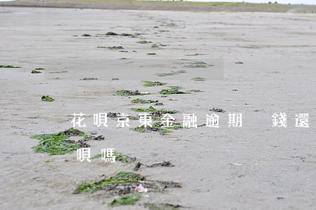 花唄京東金融逾期沒錢還(京東金融可以還花唄嗎)