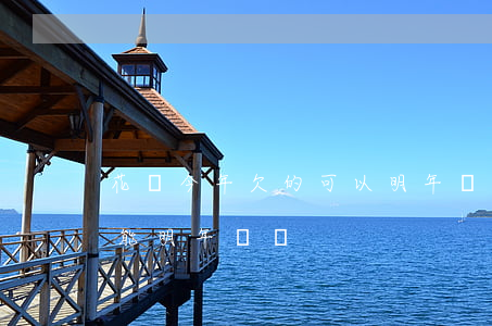 花唄今年欠的可以明年還嗎(花唄今年還不完能明年還嗎)