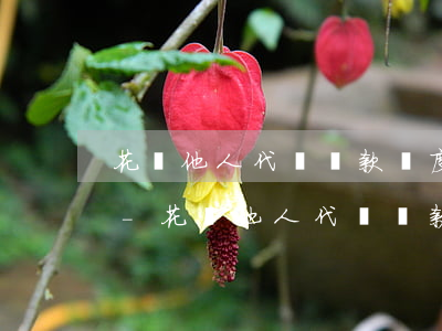 花唄他人代還還款額度圖片真實(shí)-花唄他人代還還款額度圖片真實(shí)嗎