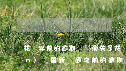 花唄以前的逾期記錄消失了(花唄關(guān)閉重新開通之前的逾期記錄還在嗎)