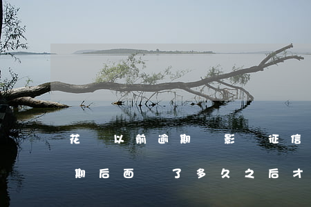花唄以前逾期會影響征信嗎(花唄之前有過逾期后面還了多久之后才能用)