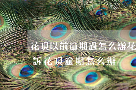 花唄以前逾期過怎么辦(花唄逾期多久會被起訴?花唄逾期怎么辦)