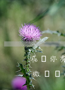 花唄你有微貸產(chǎn)品逾期(花唄有微貸產(chǎn)品記錄不能使用,這是什么)