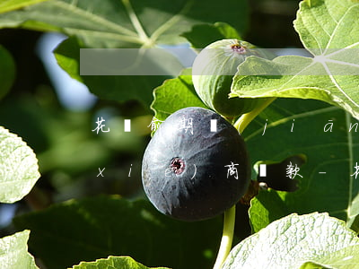 花唄俞期監(jiān)局介入信用卡協(xié)商還款-花唄逾期協(xié)商好了還有催收人員上門怎么辦