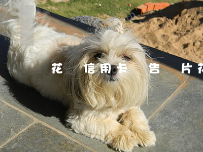 花唄信用卡廣告圖片 花唄廣告圖片大全