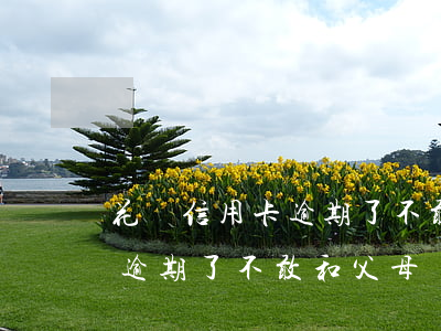 花唄信用卡逾期了不敢和父母說 花唄信用卡逾期了不敢和父母說怎么辦