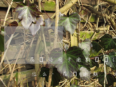 花唄信用卡逾期會聯(lián)系工作單位么-花唄逾期了工作人員會不會來家里抓人
