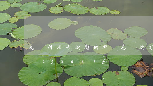 花唄信用卡逾期的影響(花唄逾期跟信用卡有關(guān)系嗎)