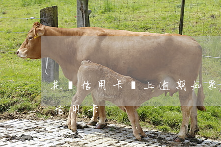 花唄信用卡馬上逾期 如果花唄逾期就辦不到信用卡