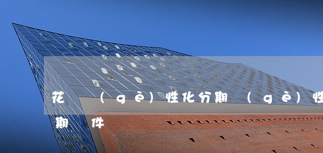 花唄個(gè)性化分期(個(gè)性化分期條件)