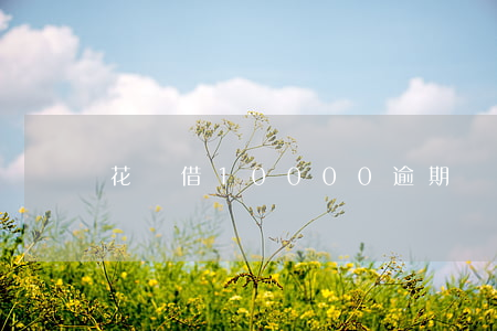 花唄借10000逾期還款利息-