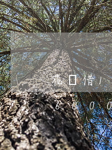 花唄借16000每月最低還款-花唄借16000每月最低還款多少