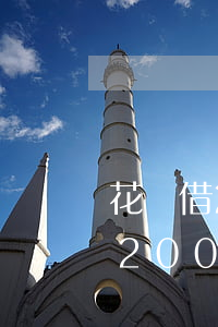 花唄借20000可以延遲還款嗎-花唄借20000可以延遲還款嗎多久