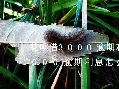 花唄借3000逾期利息怎么算-花唄借3000逾期利息怎么算的