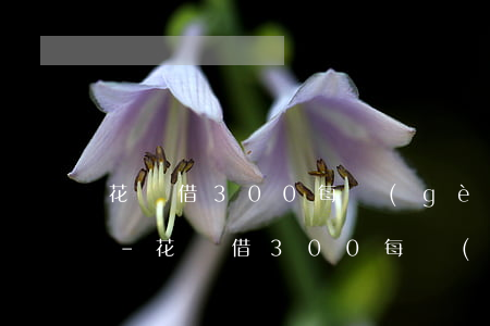 花唄借300每個(gè)月最低還款多少-花唄借300每個(gè)月最低還款多少錢