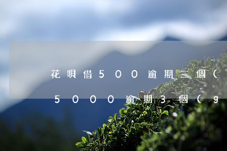花唄借500逾期三個(gè)月(螞蟻借唄5000逾期3個(gè)月了)