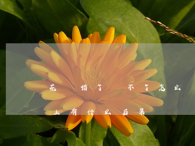 花唄借了還不了怎么辦 在花唄上借了錢還不上有什么后果