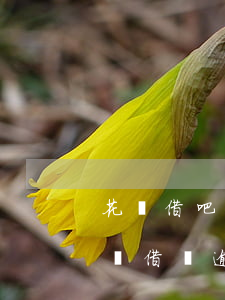 花唄借吧逾期可以協(xié)商還款嗎(花唄借唄逾期后可以跟客服協(xié)商還款嗎)