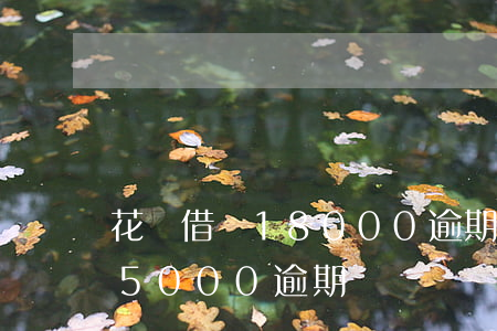 花唄借唄18000逾期了(支付寶花唄欠15000逾期)