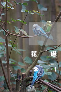 花唄借唄2萬(wàn)逾期多久起訴(借唄2萬(wàn)逾期多久會(huì)被起訴會(huì)收到判決書(shū)一)