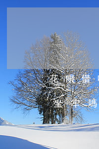 花唄借唄2萬(wàn)逾期會(huì)坐牢嗎(花唄借唄2萬(wàn)逾期會(huì)坐牢嗎)