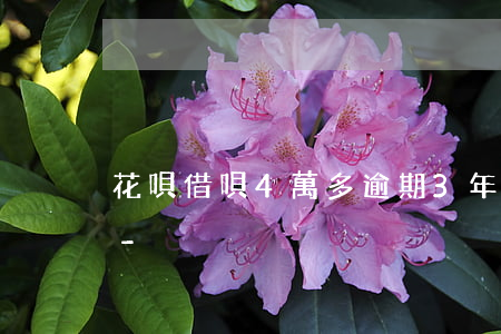 花唄借唄4萬多逾期3年會(huì)怎樣-