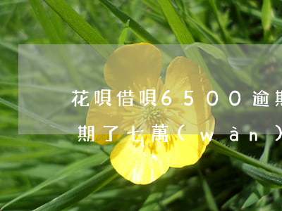 花唄借唄6500逾期了(支付寶借唄花唄逾期了七萬(wàn)多會(huì)起訴嗎)