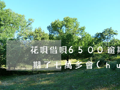 花唄借唄6500逾期了(支付寶借唄花唄逾期了七萬多會(huì)起訴嗎)